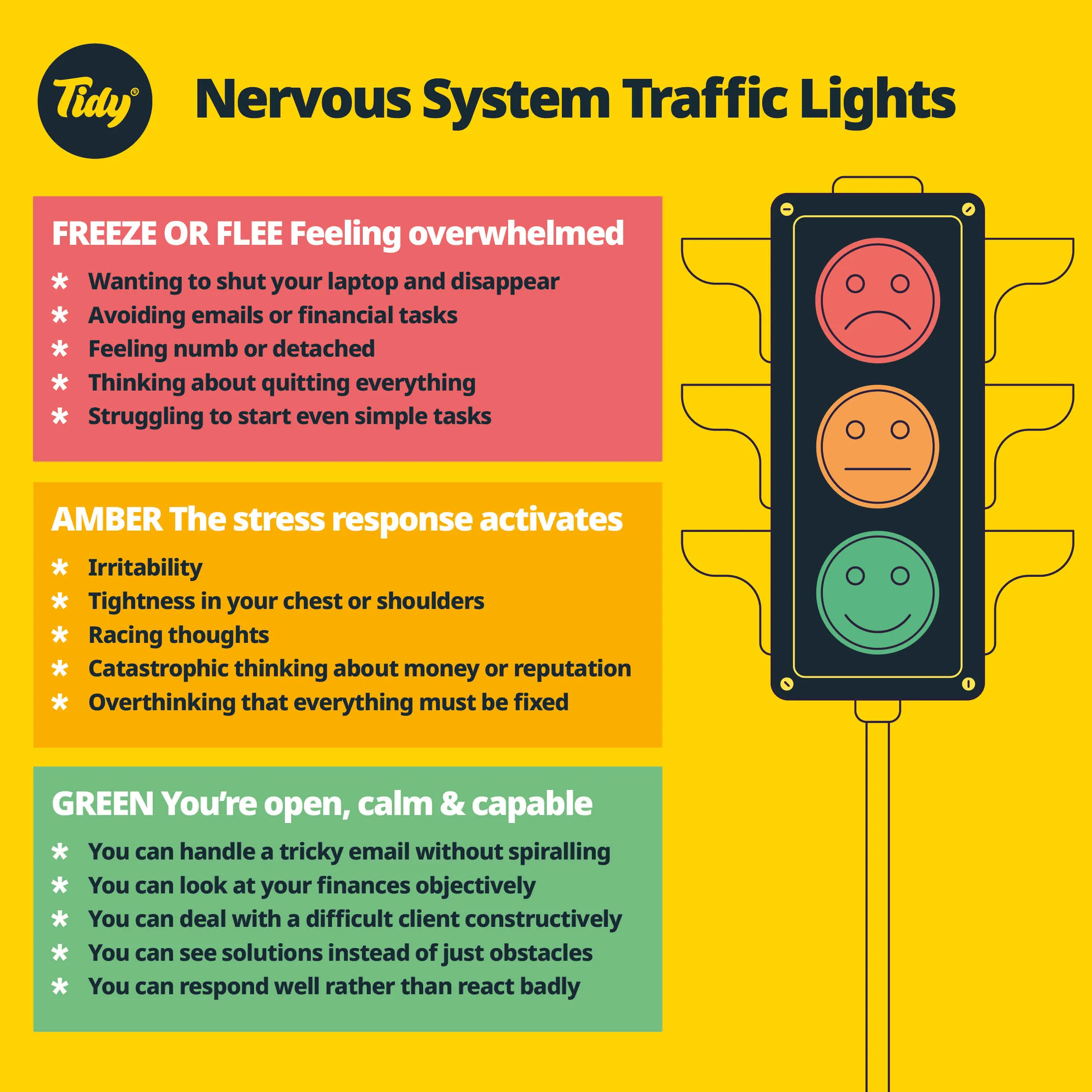 Nervous system traffic light system illustration by Tidy, featuring three states: red for feeling overwhelmed, amber for stress response activation, and green for being open, calm, and capable, with corresponding descriptions and icons.